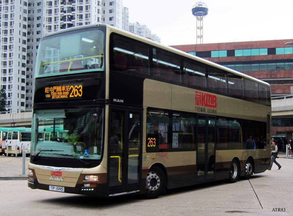 AMNE1-263_3.jpg