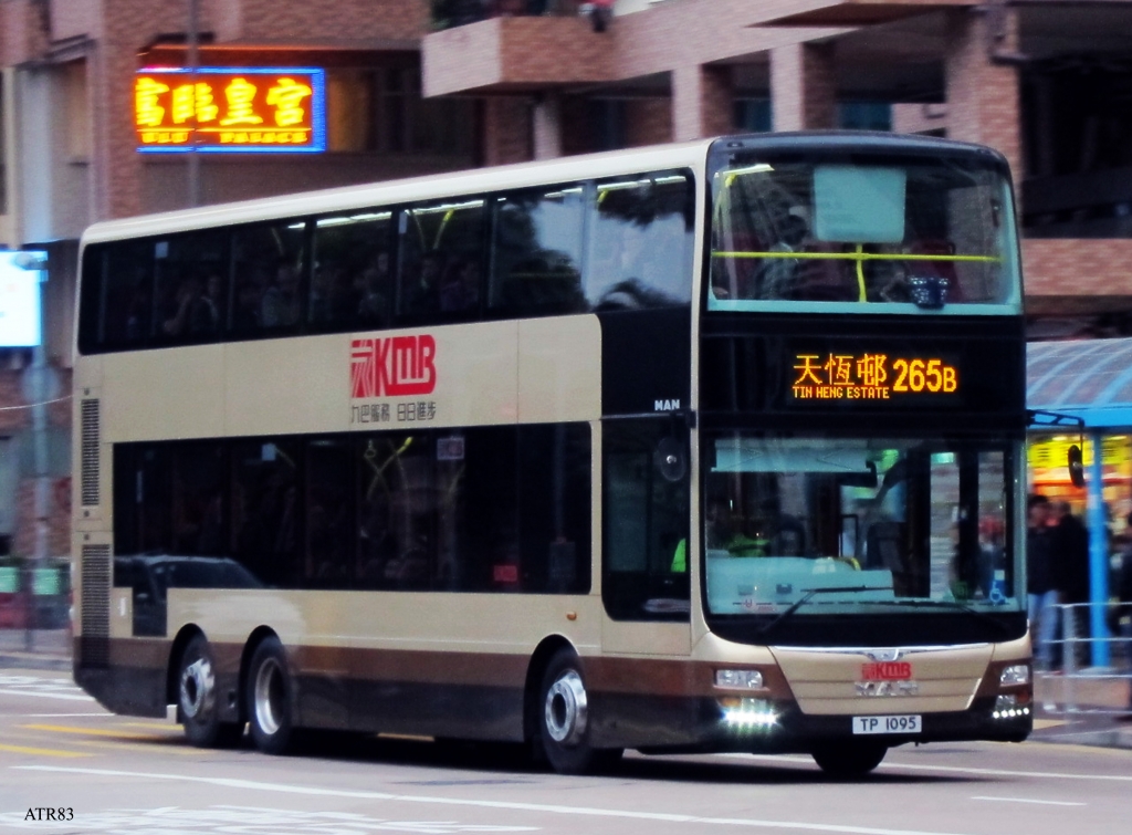 AMNE1-265B_2.jpg