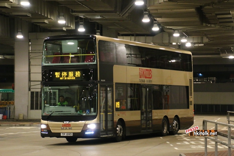AMNE1 R33P.JPG