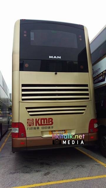 AMNE1 E.jpg