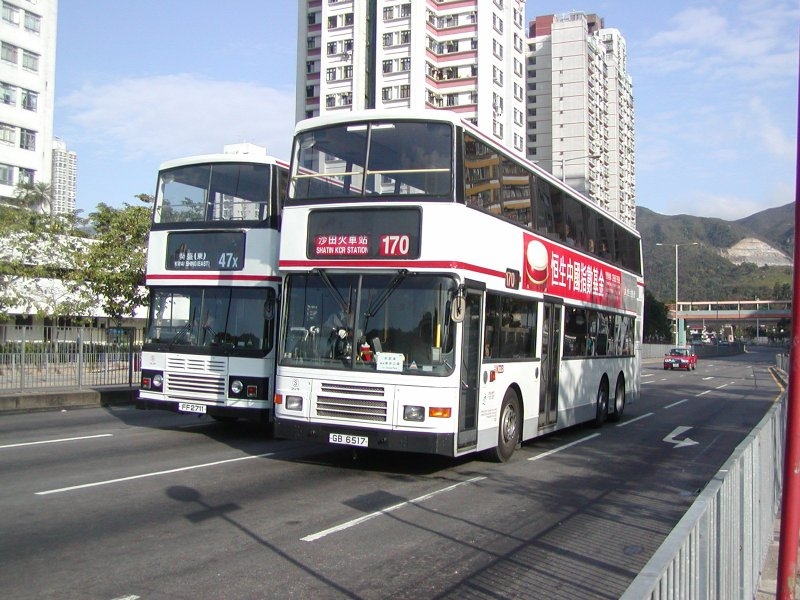 girlbuses2.jpg