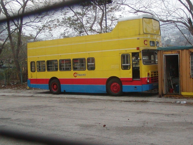c_36_1.jpg