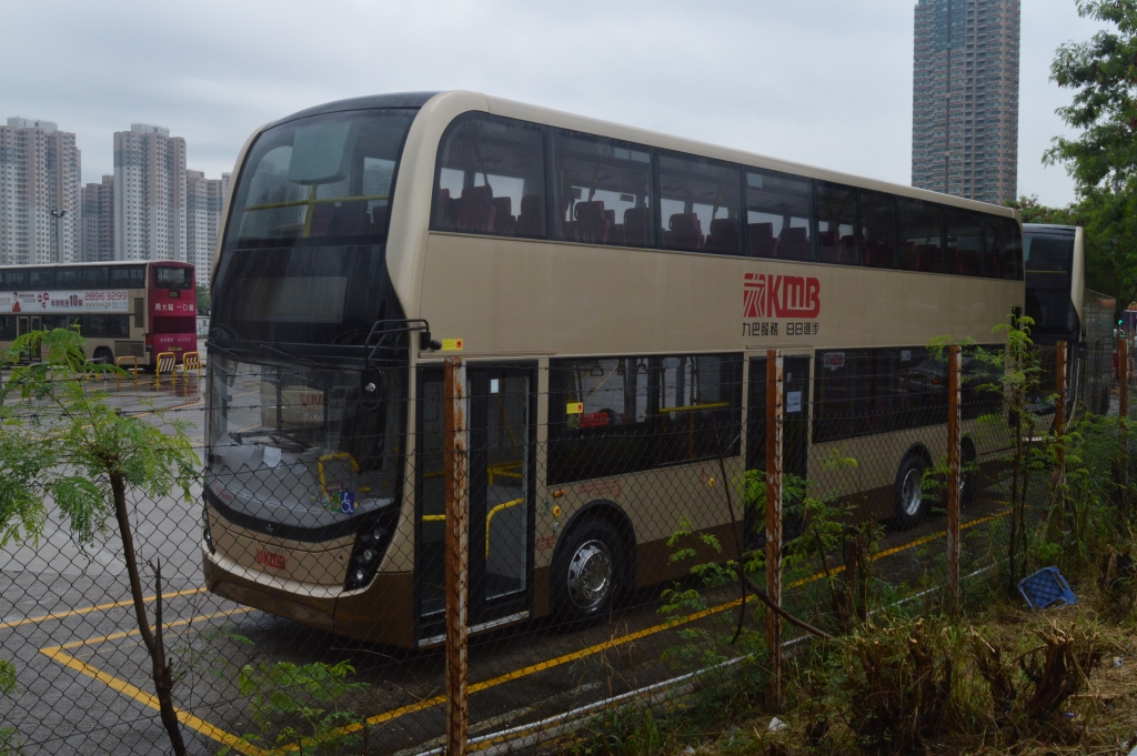 DSC_1575.JPG