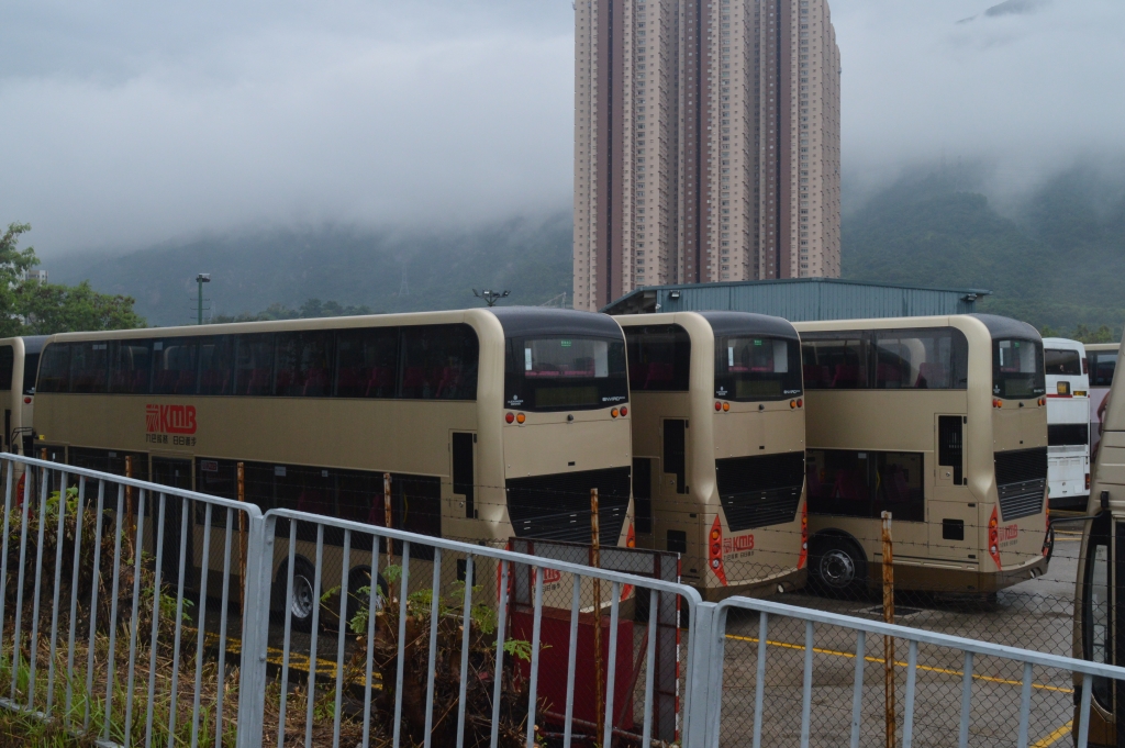 DSC_1577.JPG