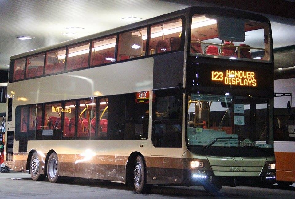 AMNE10.jpg