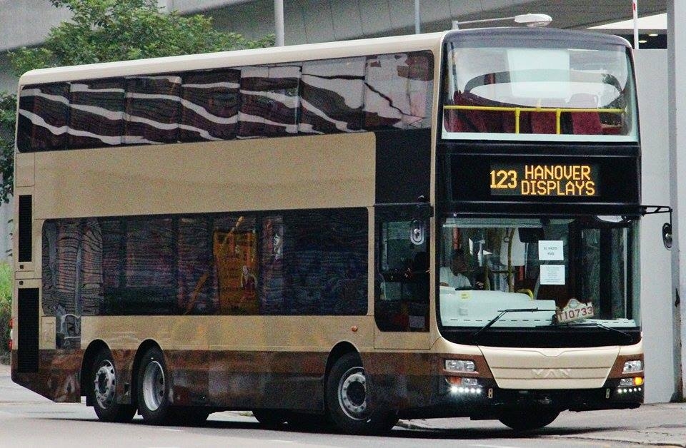 AMNE14.jpg