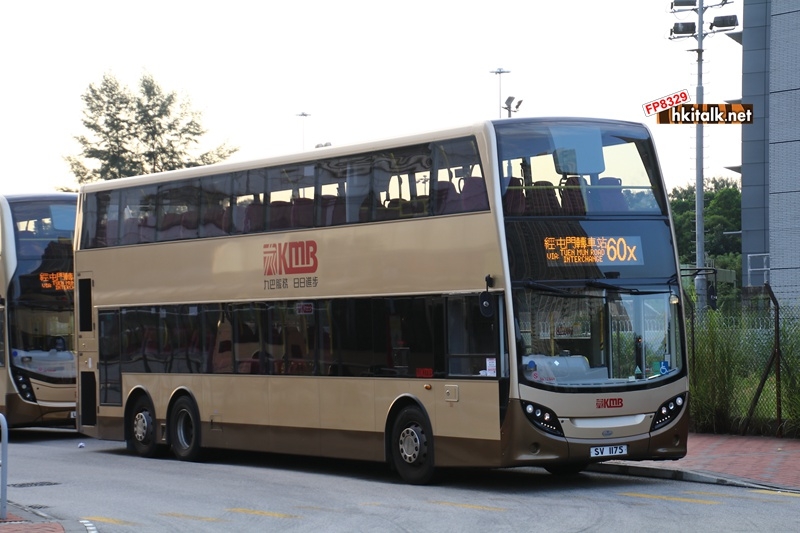 SV1175 60X.JPG