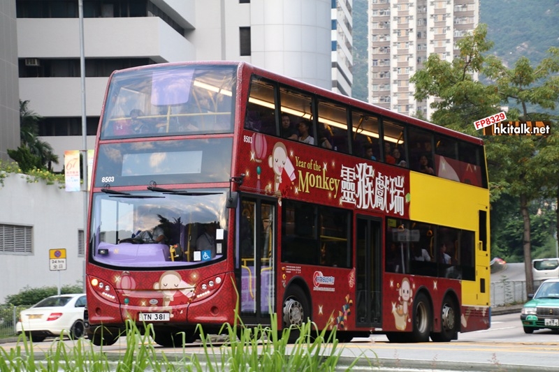 8503 1.JPG