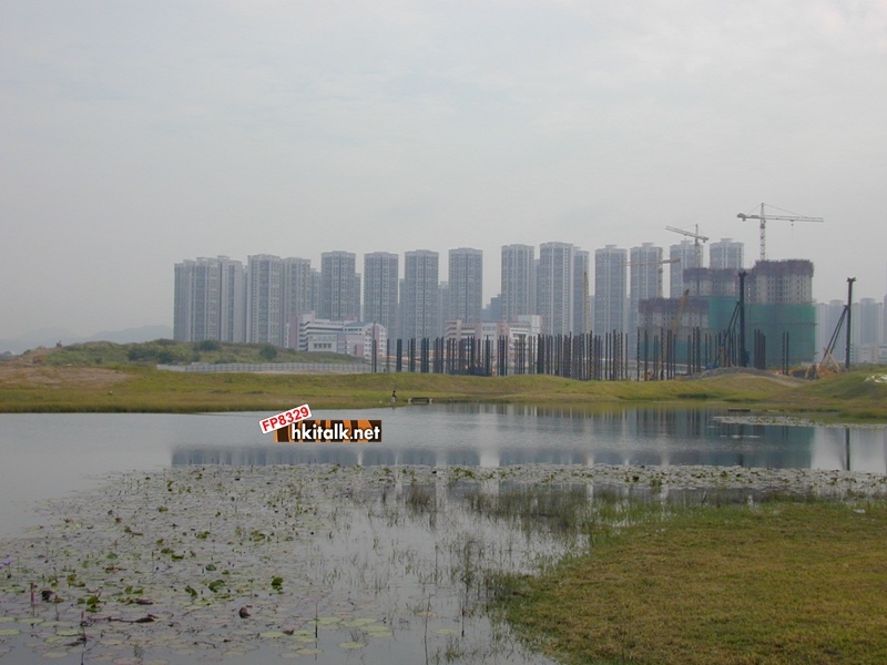 wetland park1.JPG