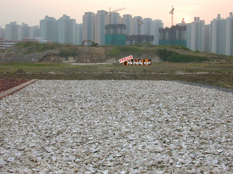 wetland park3.JPG