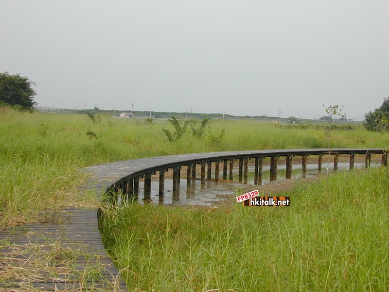 wetland park2.JPG