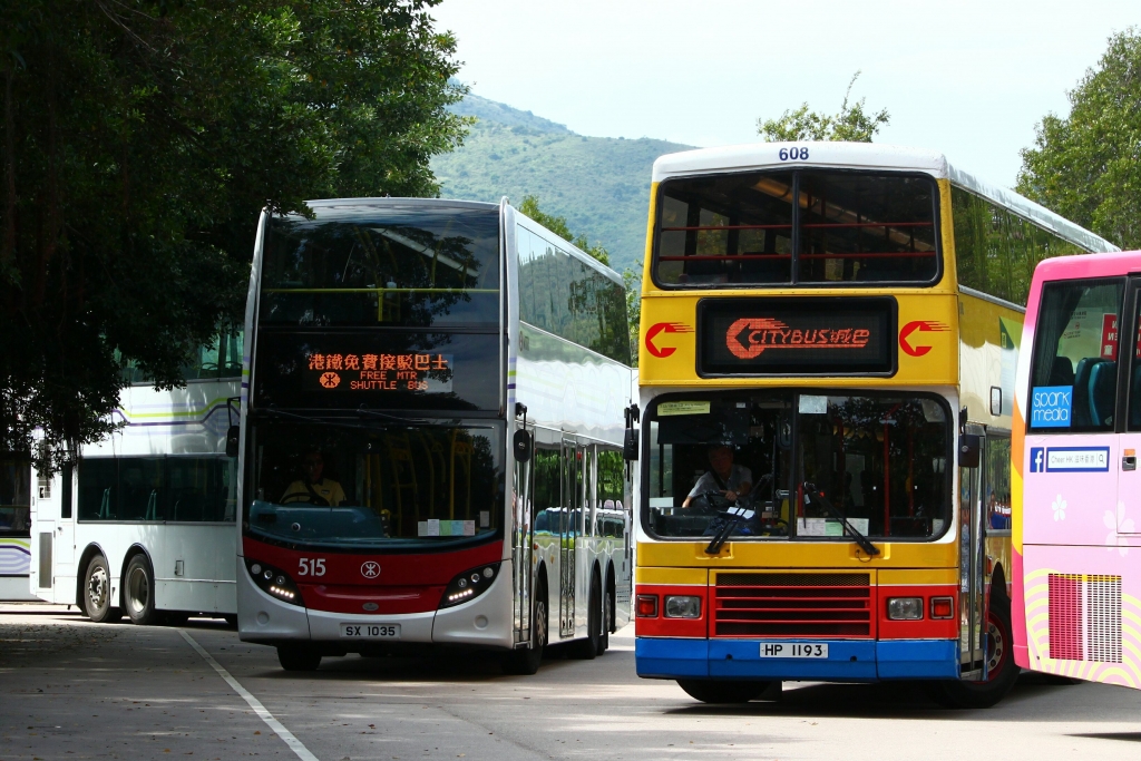 IMG_5826_1.jpg