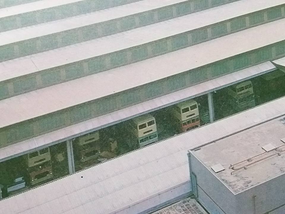 TMD3.jpg