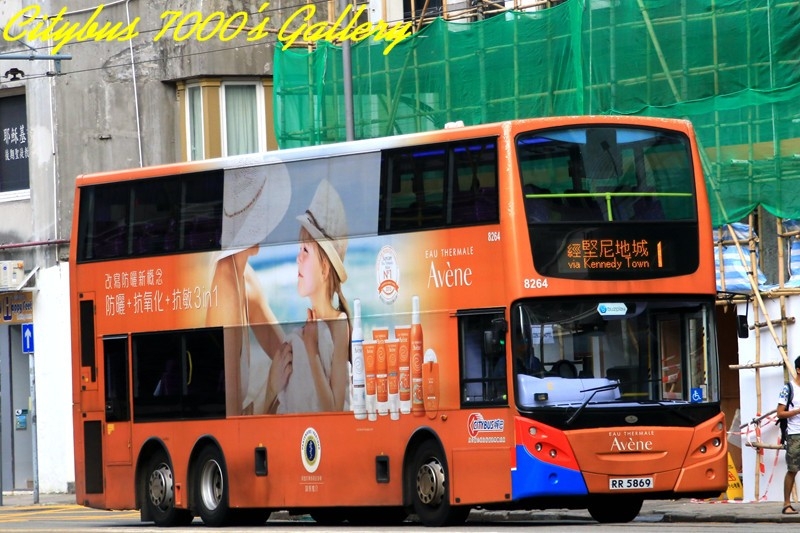 8264.jpg