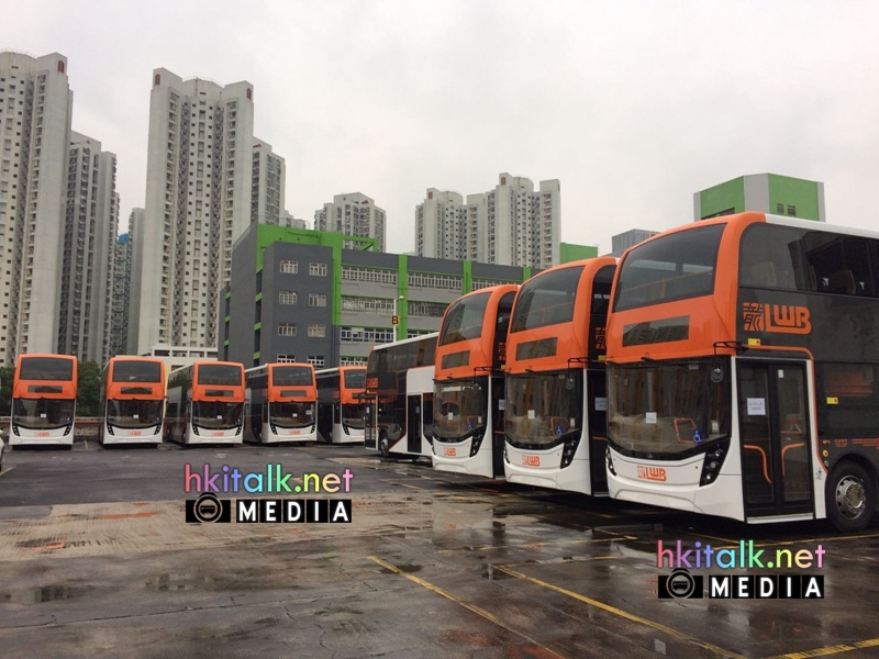 LWB3.jpeg