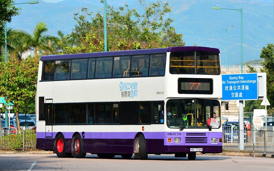 DB 77.jpg