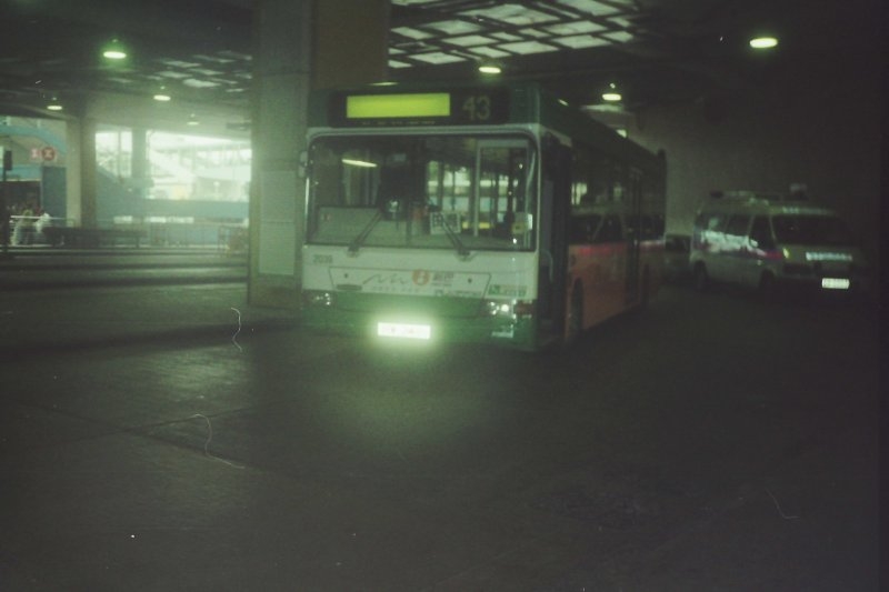Dsc00018_1.jpg