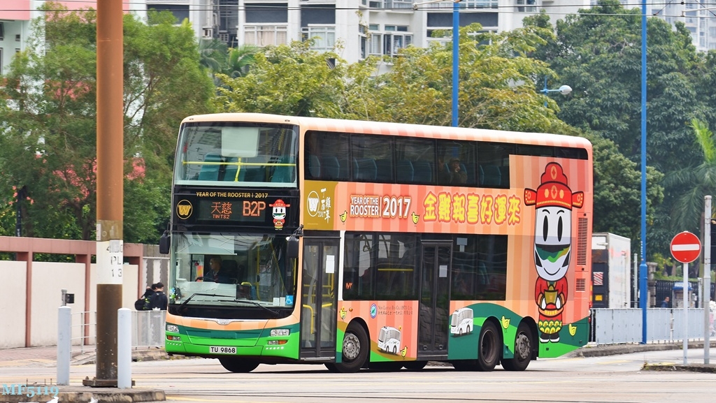 YCO800.JPG