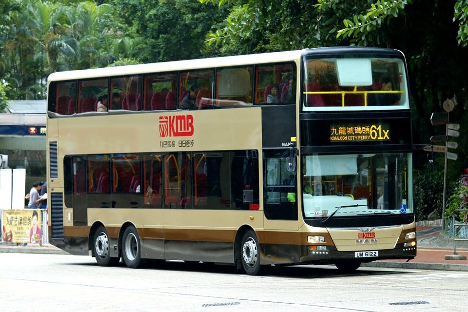 AMNF19.jpg