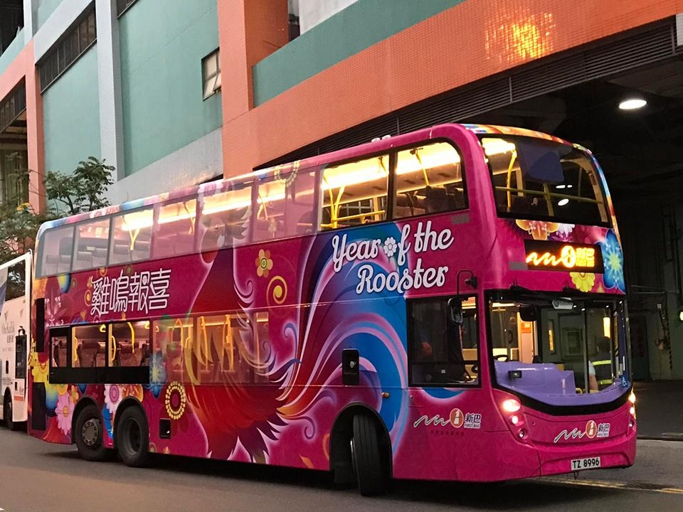 TZ8996.jpg