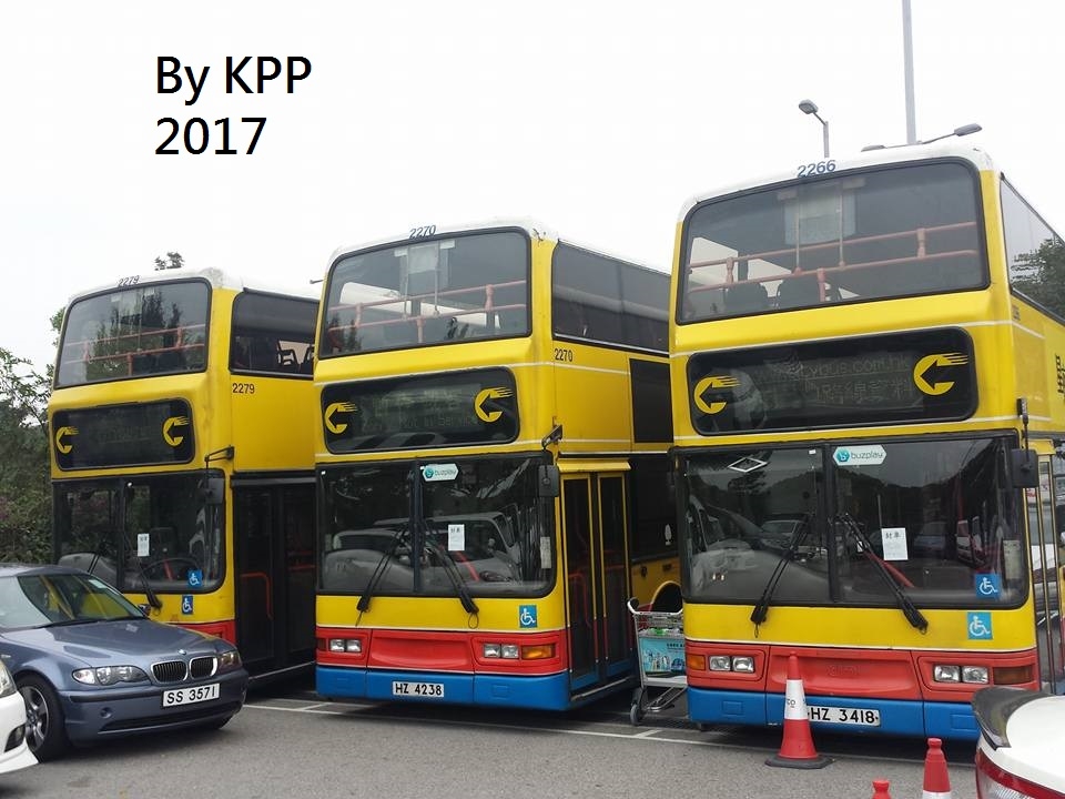 22797066.jpg