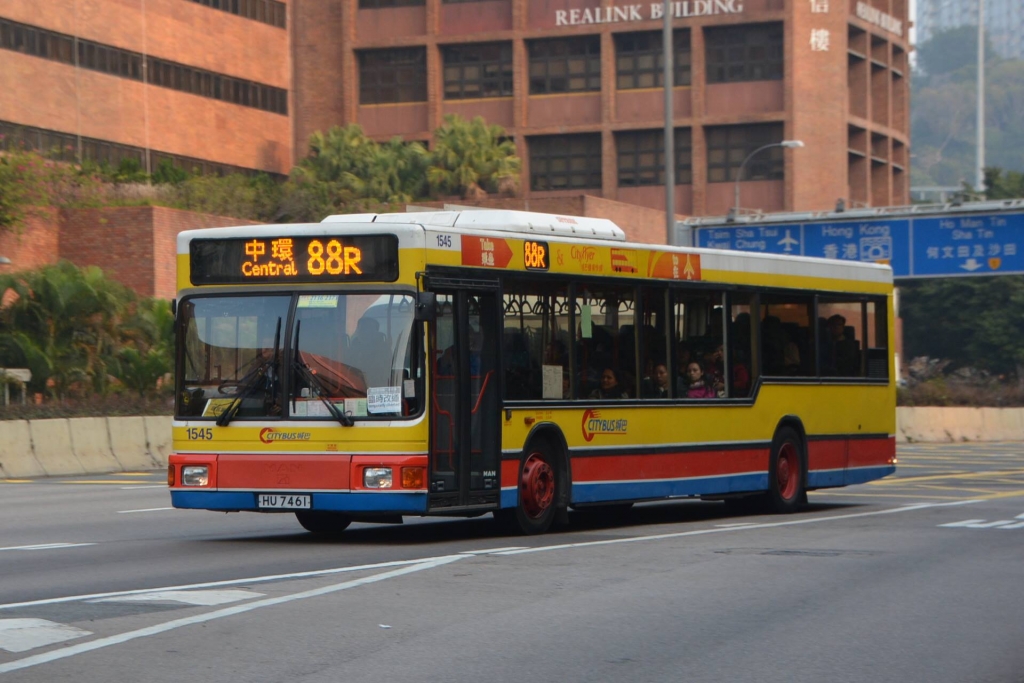 1545.jpg