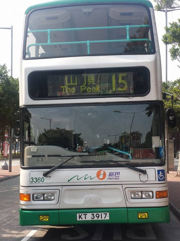 3360155.jpg