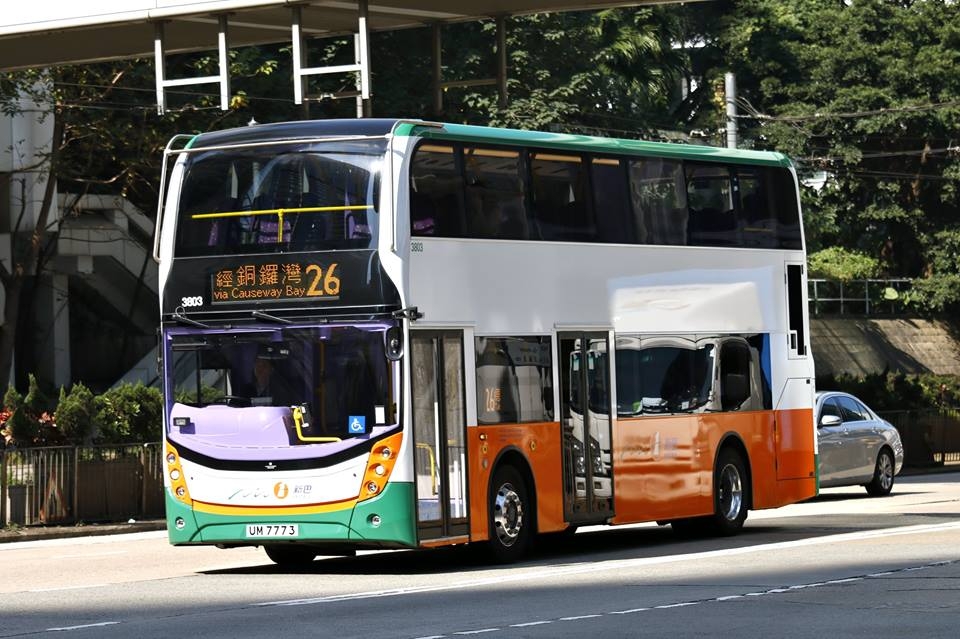 3803.jpg