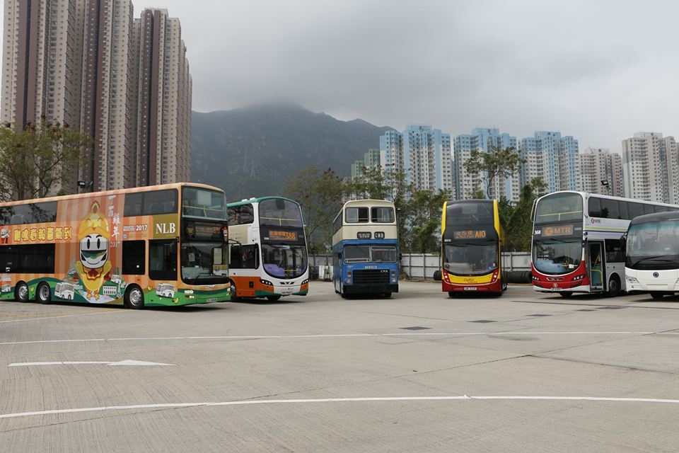 r21.jpg