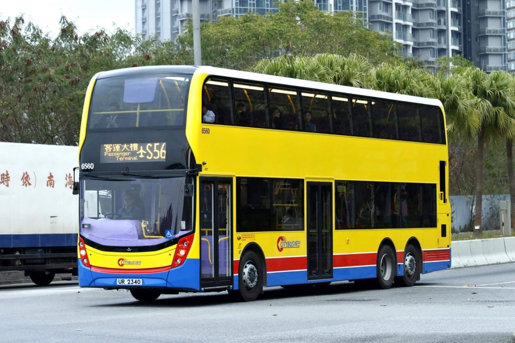 6560.jpg