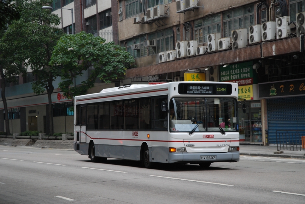 DSC_0176 - 複製.JPG
