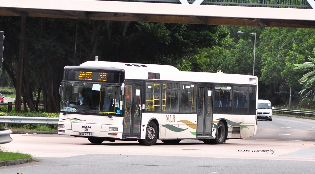 DSC_1078.JPG