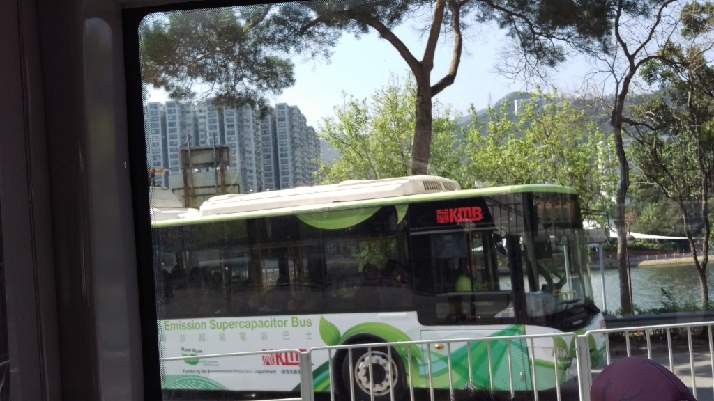 IMAG0694.jpg