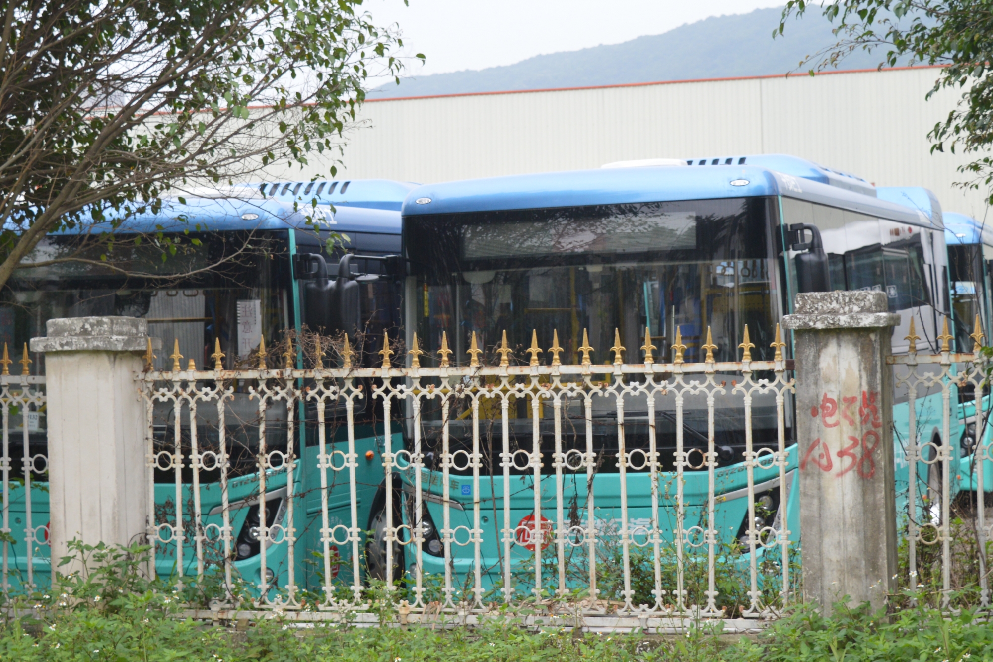 CSC_3472.JPG