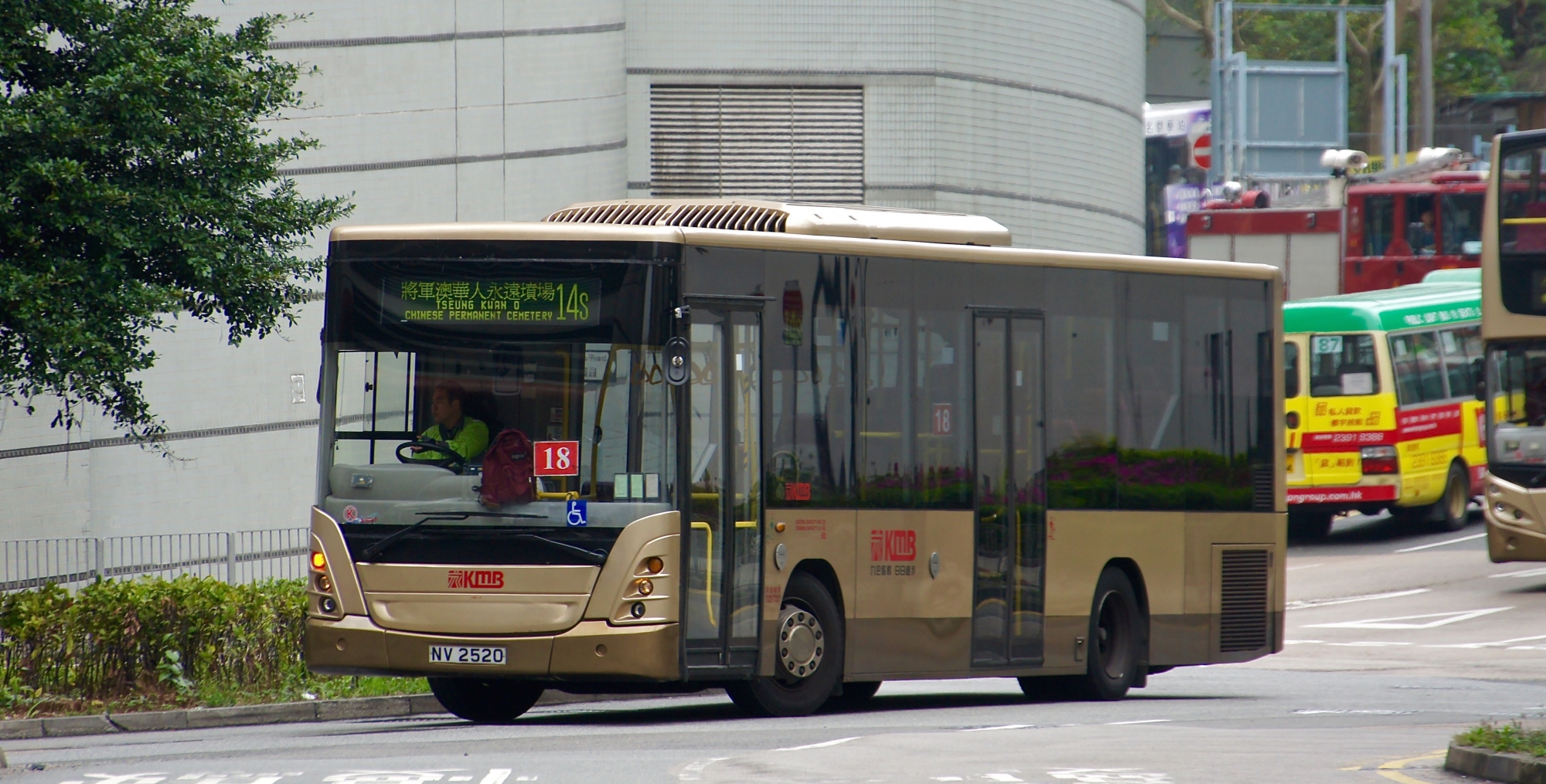 DSC06291.jpg