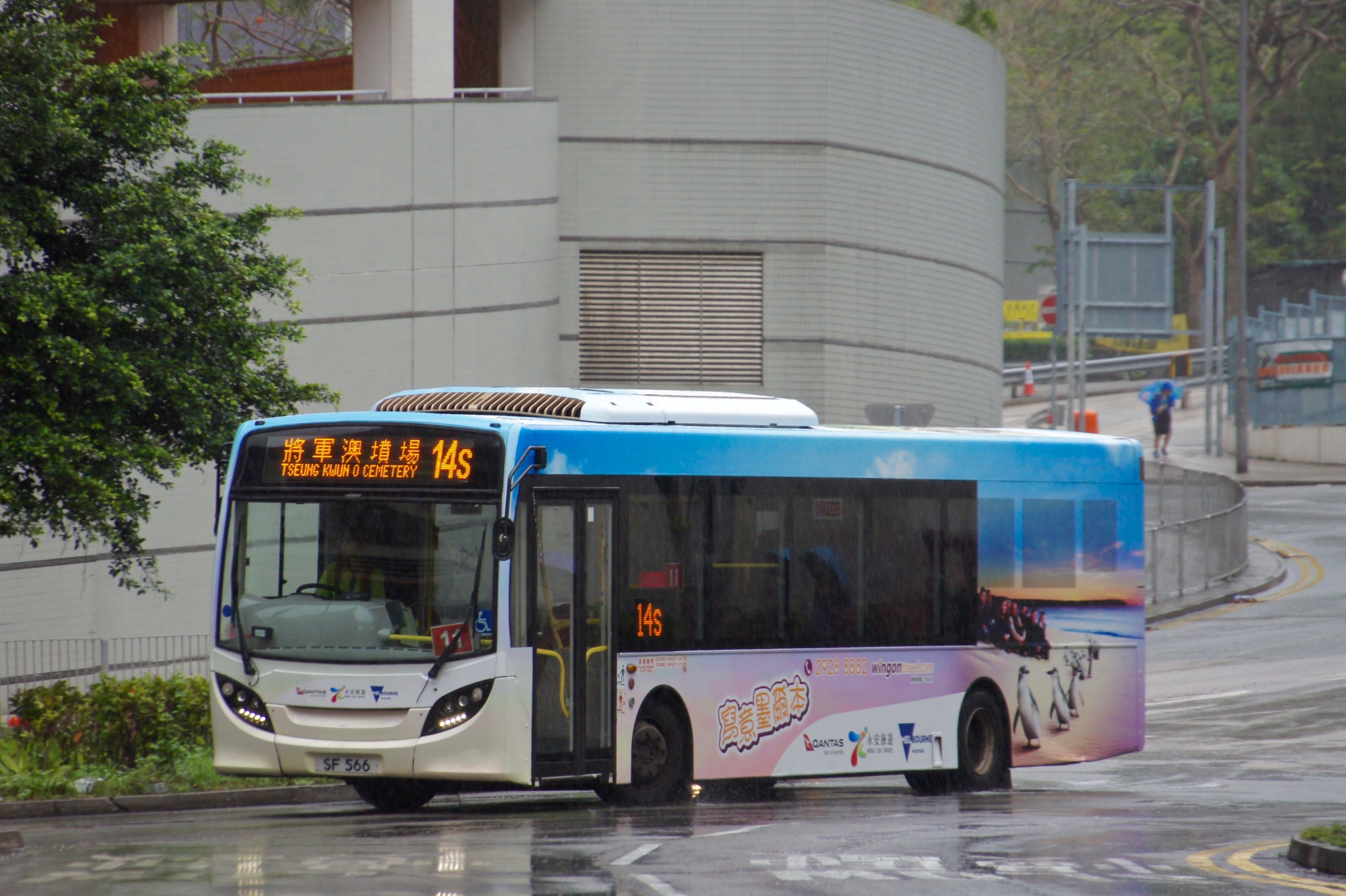 DSC08082 (1).jpg
