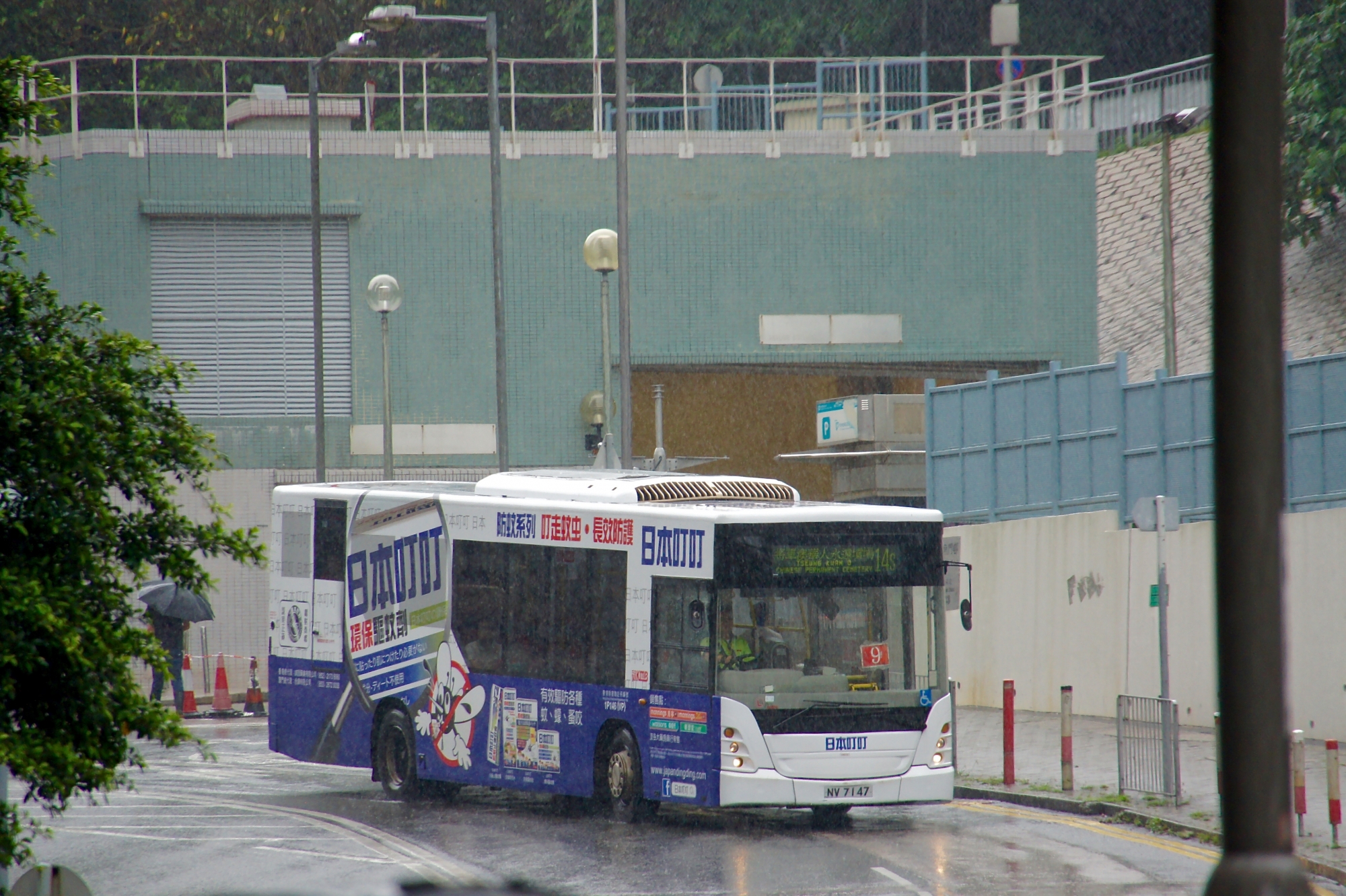 DSC08126 (1).jpg