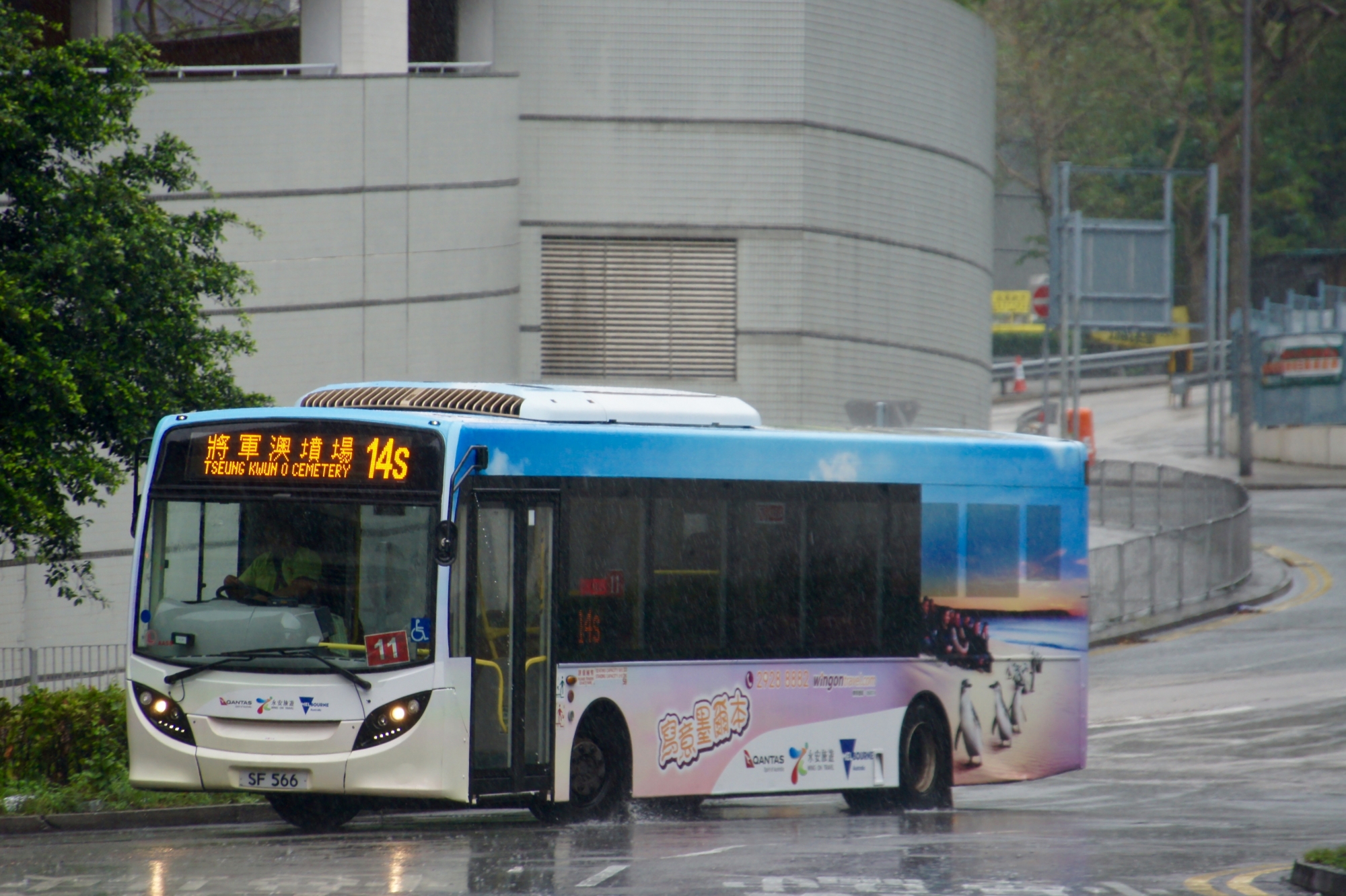 DSC08133 (1).jpg