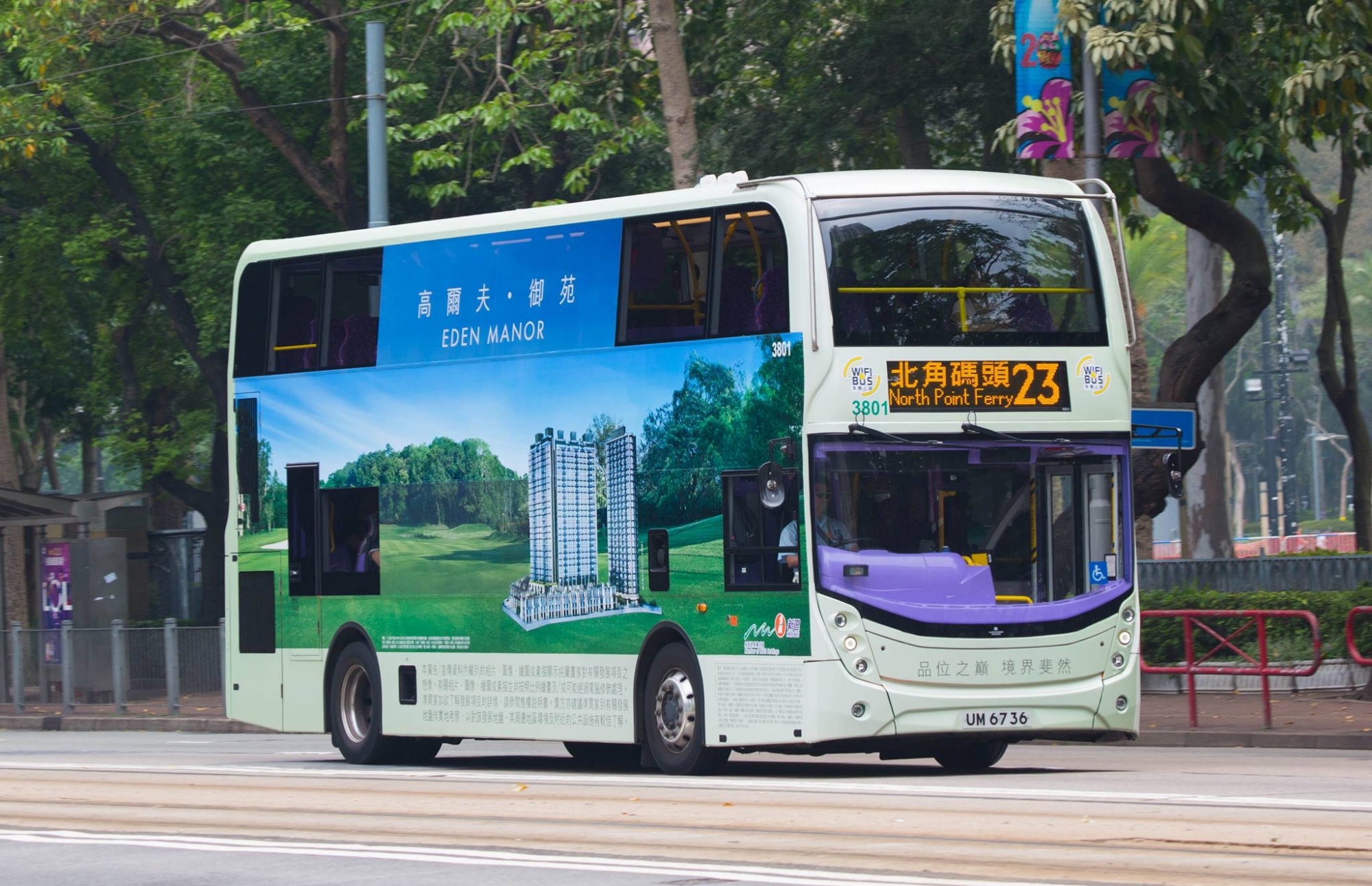 3801a.jpg