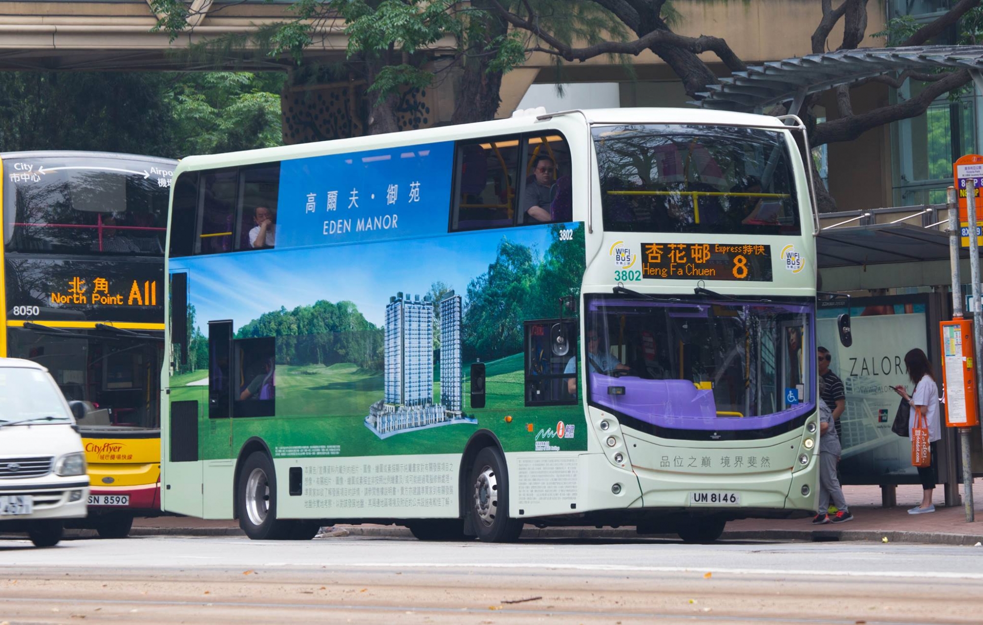 3802c.jpg