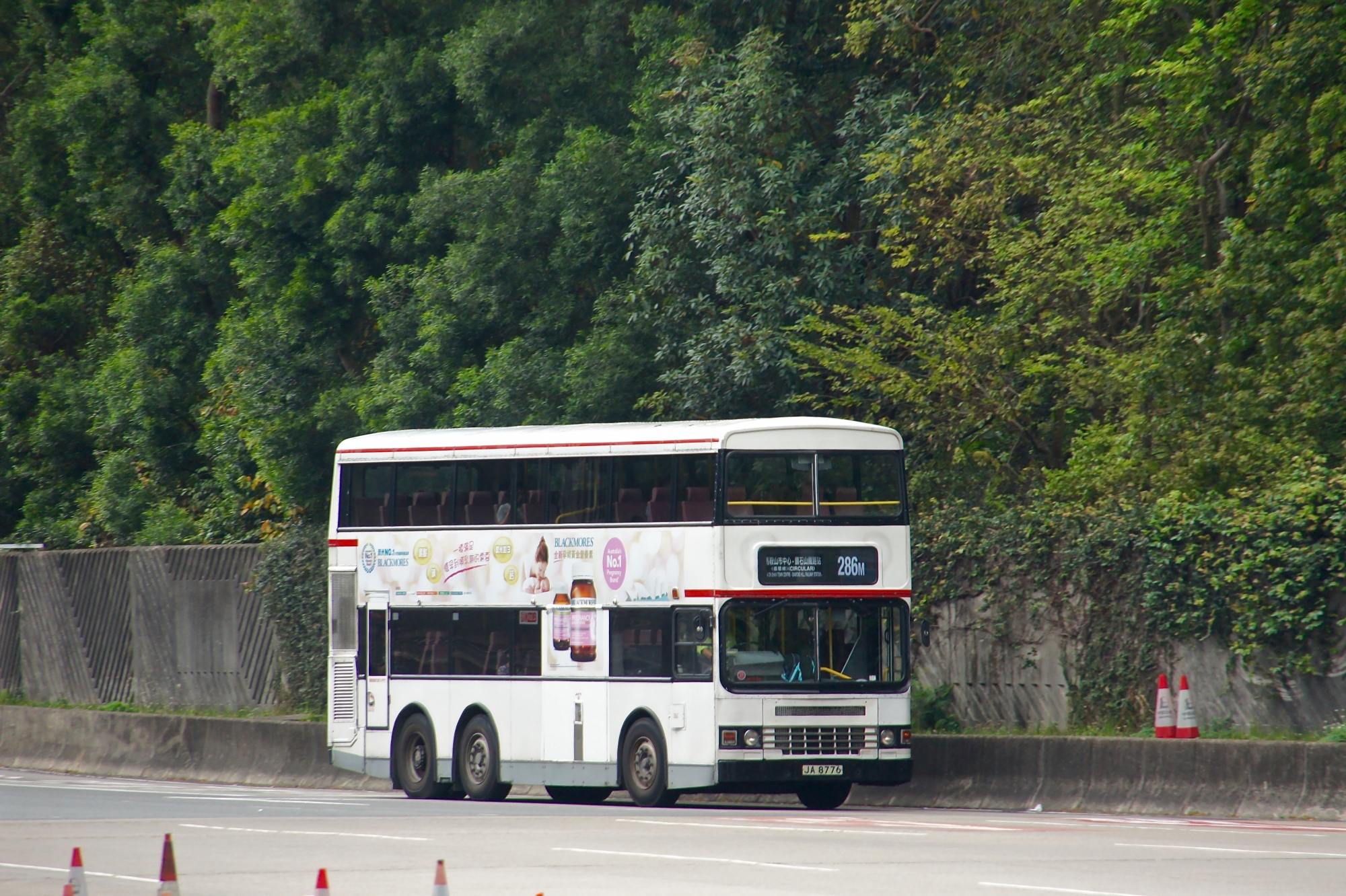 JA8776@286M.jpg