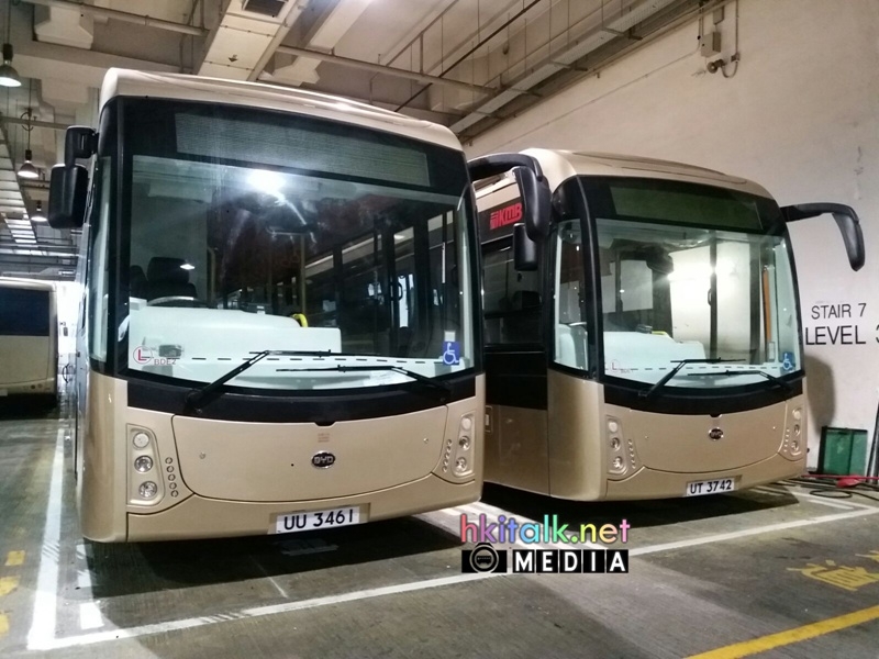 BYD (4).jpeg