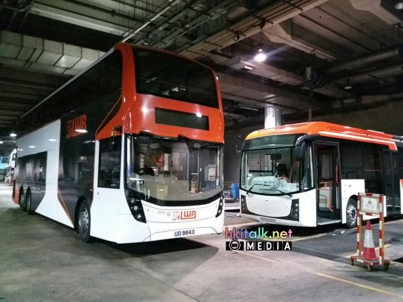BYD (5).jpeg
