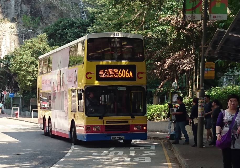 DSC_1731.jpg