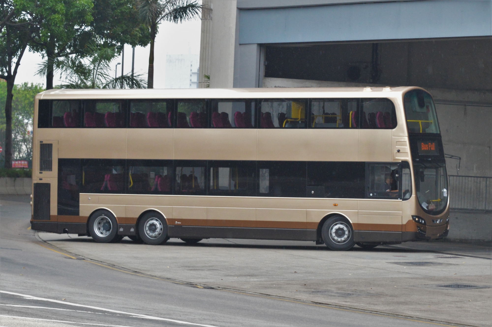 DSC_4342.jpg