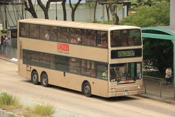 AMN1 right clean@67M.jpg