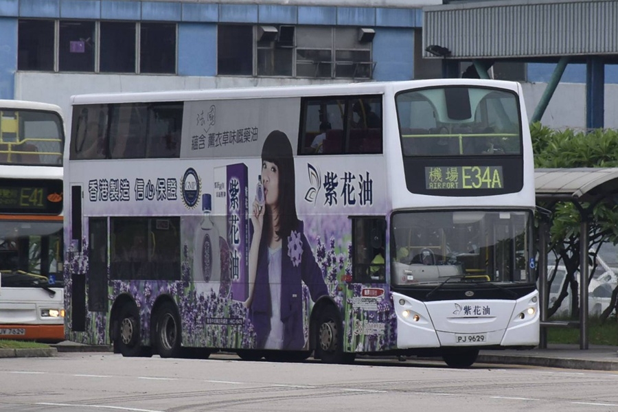 PJ9629.jpg