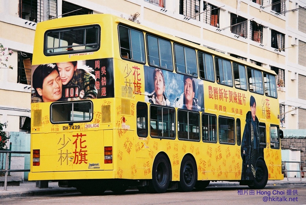花旗少林 (6).JPG