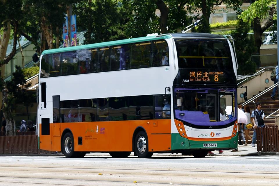 3831.jpg