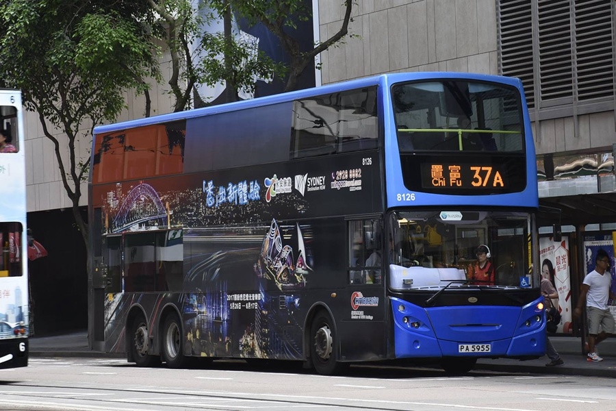 8126.jpg